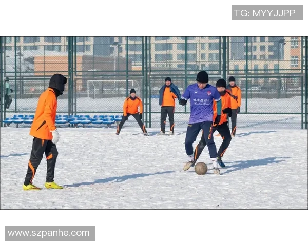 俄罗斯足球超级联赛发展现状与未来前景分析及影响因素探讨