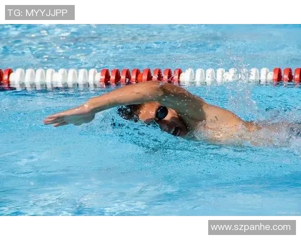 提高游泳技巧的关键训练方法与科学分析，全面解析各项泳姿的技术要点