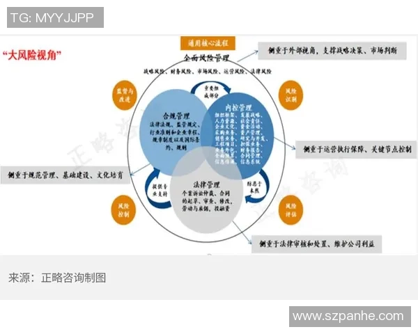 税务数字化转型背景下的政策创新与企业合规发展路径探析