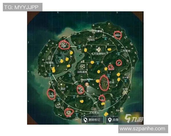 周丽独家分享和平精英游戏心得与技巧助你轻松上分