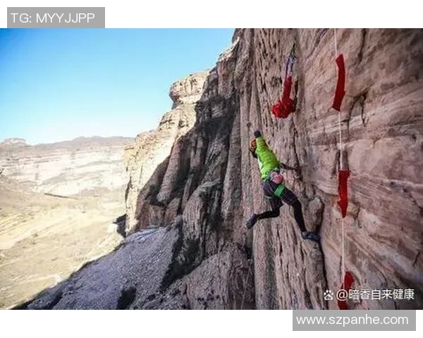 上海攀岩队灵活性对比分析揭示训练方法与成绩之间的关系 上海攀岩队灵活性对比分析揭示训练方法与成绩之间的关系