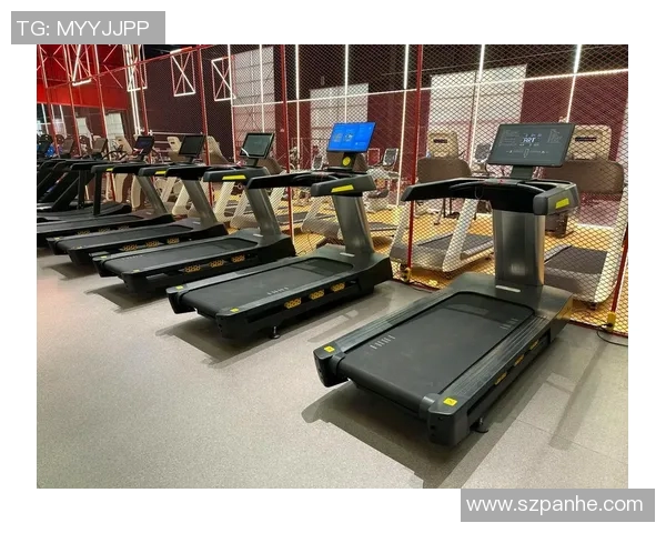 家用与商用健身器材的对比分析及采购策略推荐