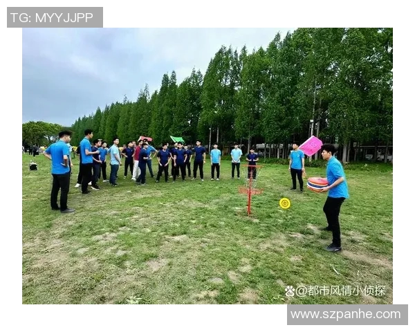 飞盘战术解析：北京飞盘队中路突破体系的创新与实践