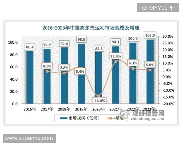 成都羽毛球队个人能力深度解析与发展潜力探讨