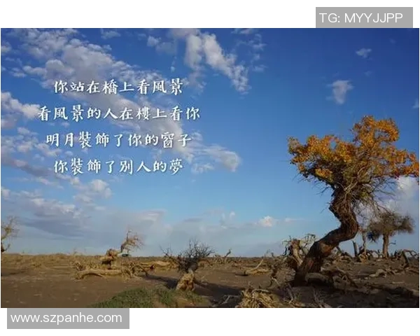 王静专访：从初学者到攀岩高手的心路历程与成长故事