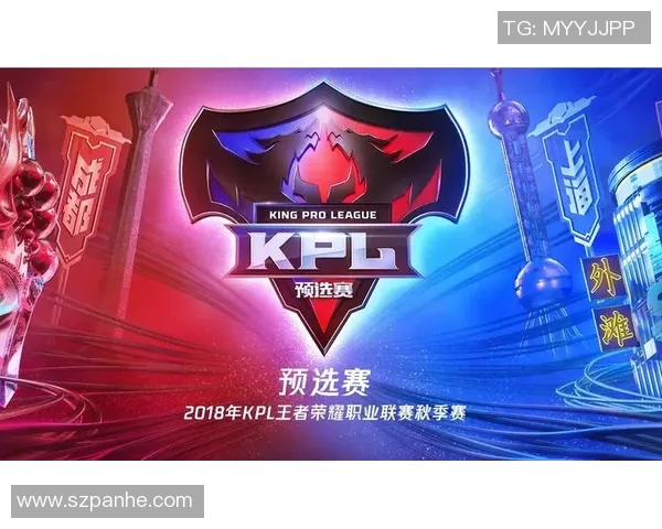 王者荣耀专题：深入分析WE战队的团队配合与战术执行技巧