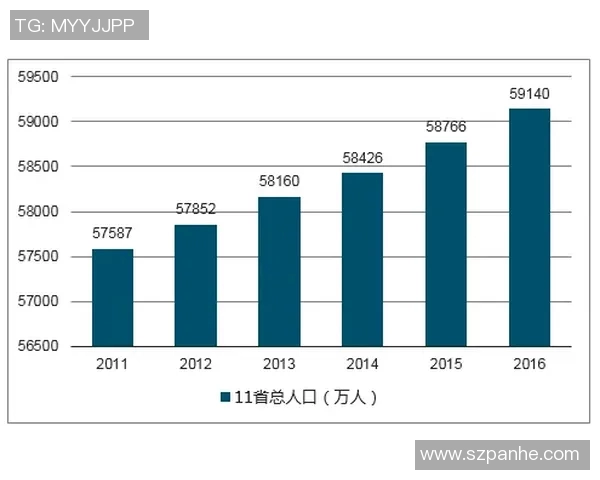 西安极限运动队战术分析与表现评估全景解读
