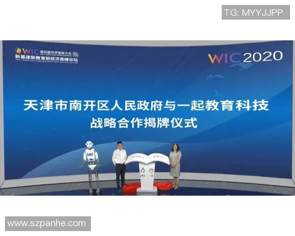 武汉飞盘队个人能力深度解析与团队协作的完美结合